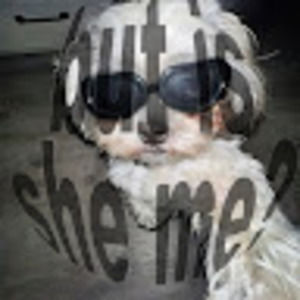 Meet your Posher, Taylar